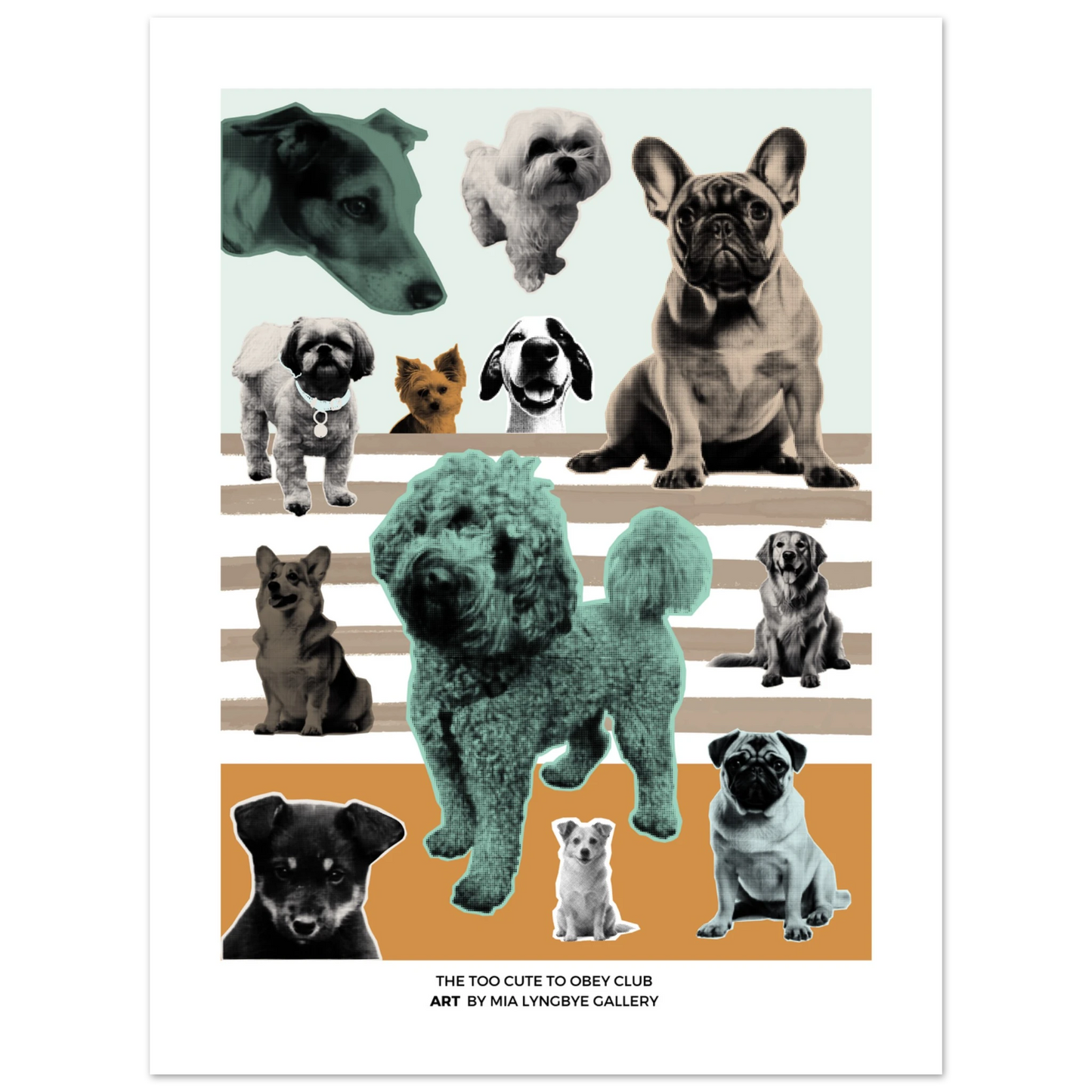 2d9def5a-d0d6-4d4b-bf72-06c9f4056eda