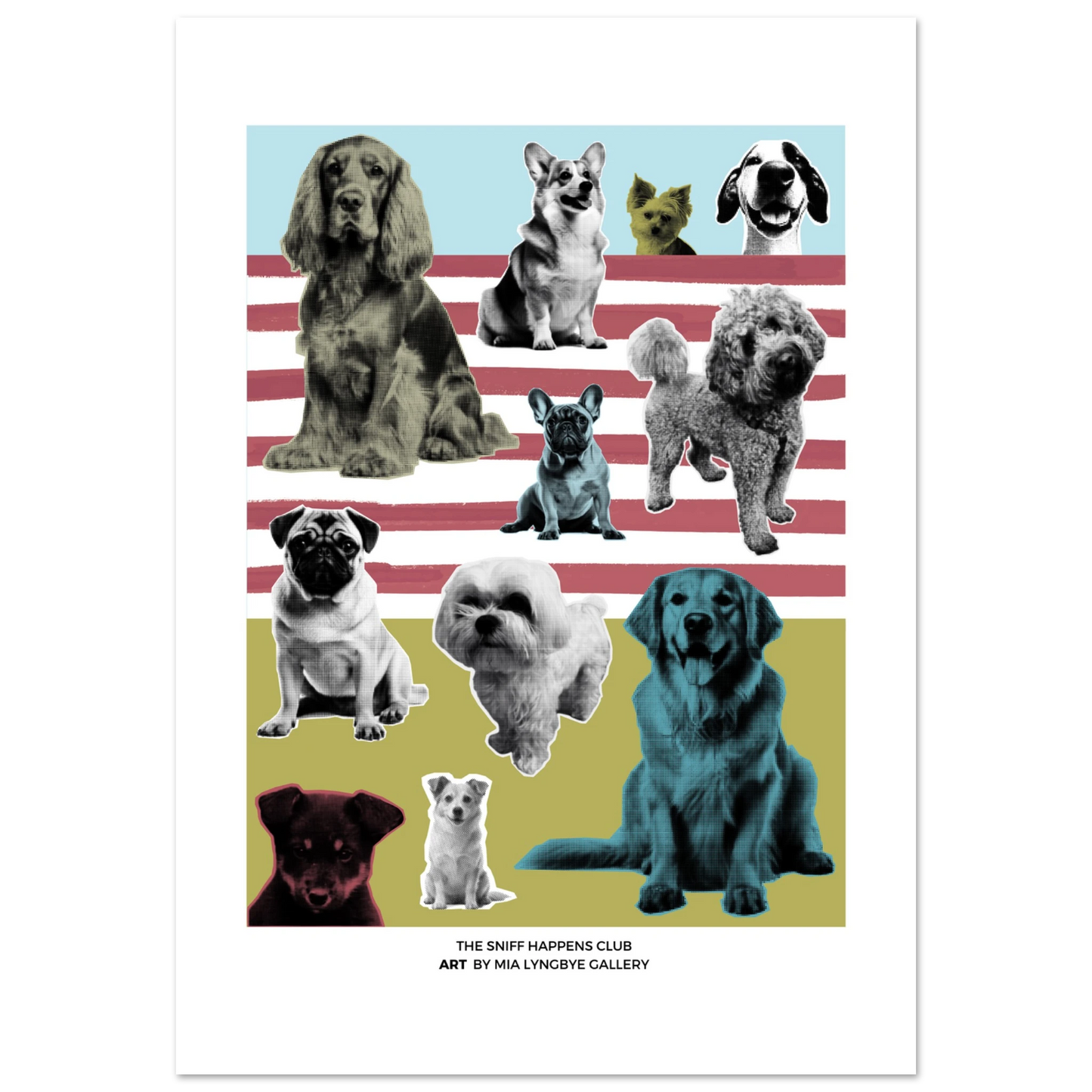 3d155be9-b2f3-476a-ac92-d46c6b88b895