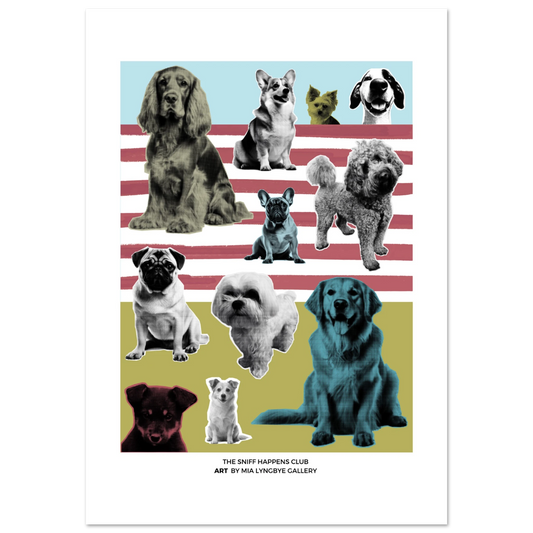 3d155be9-b2f3-476a-ac92-d46c6b88b895