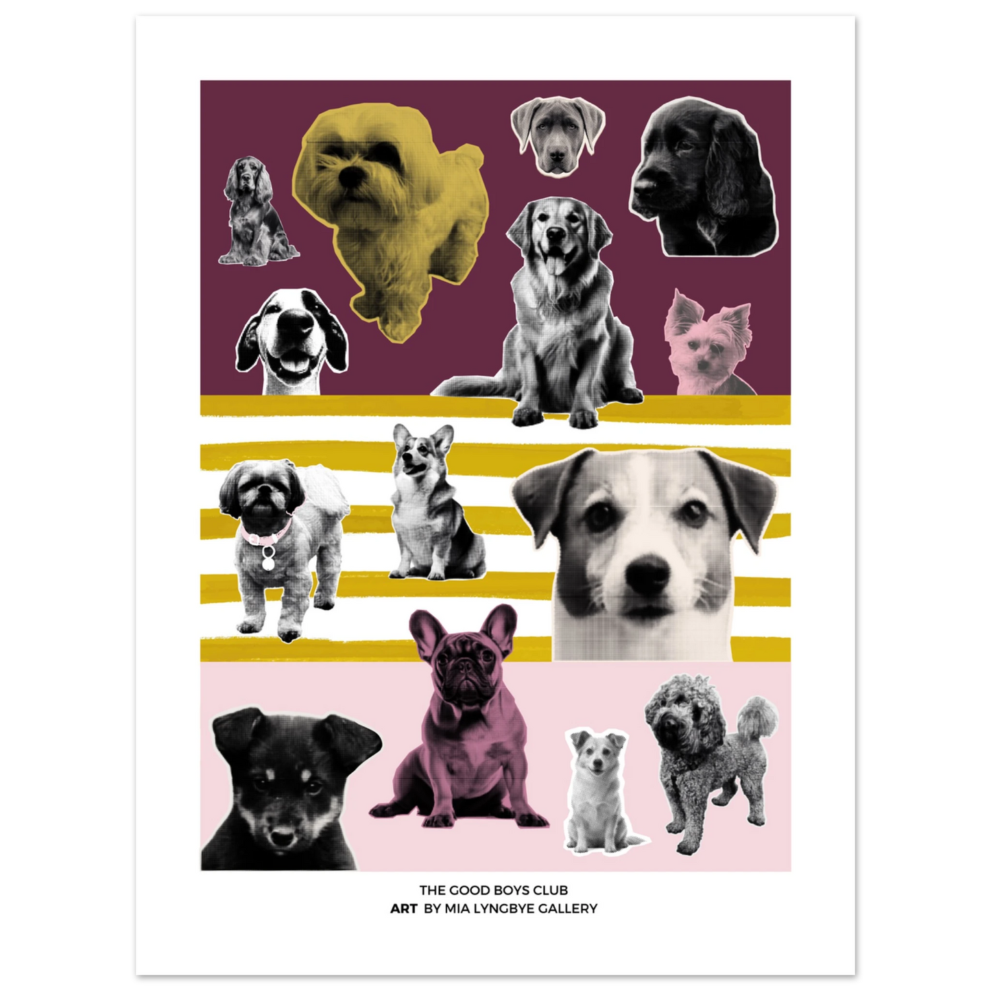 469312df-a2c2-4f10-85bc-4eab41b46b37