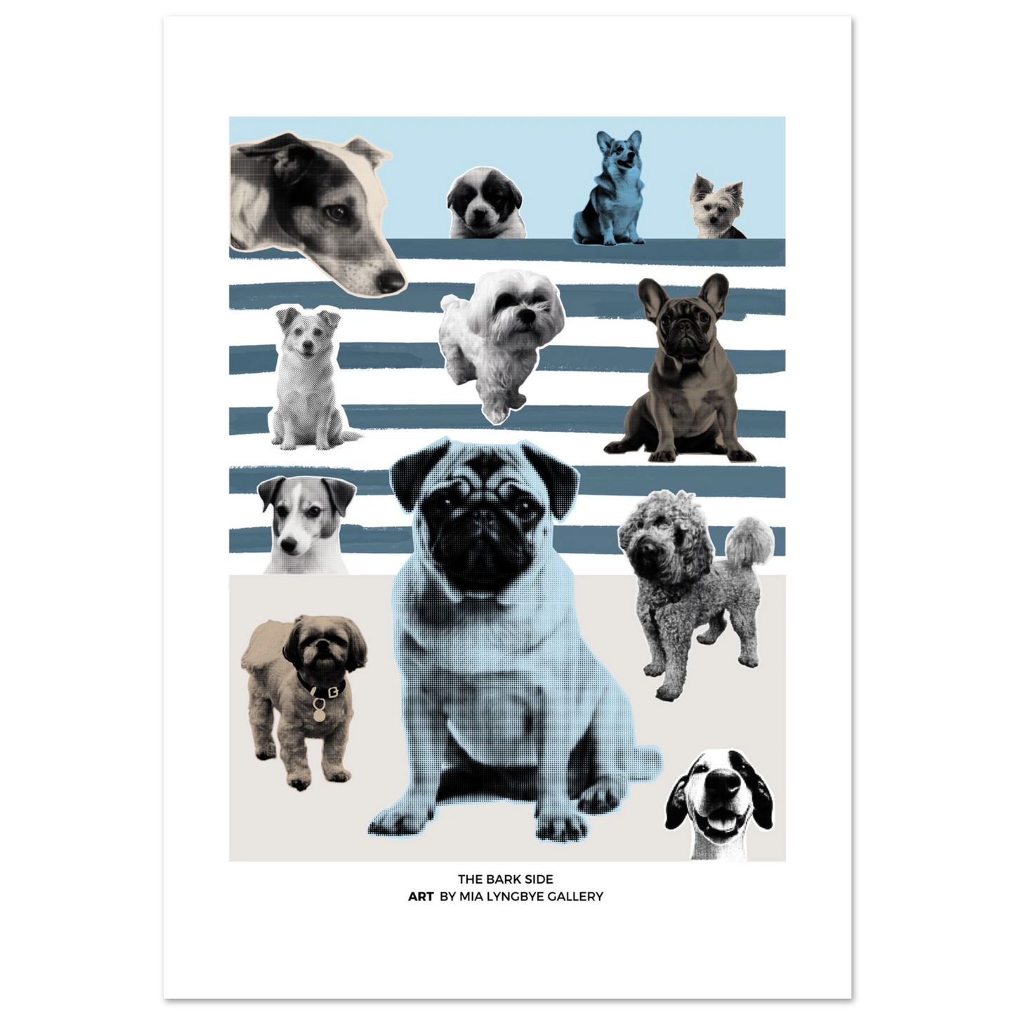 5c034b07-e2d0-496b-828d-bf32a553f8e9