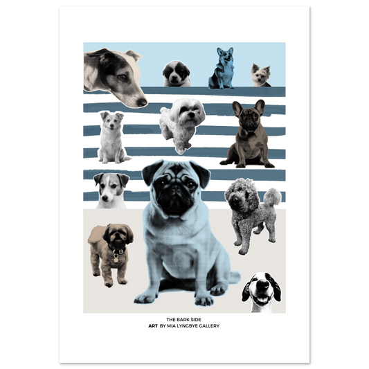 5c034b07-e2d0-496b-828d-bf32a553f8e9