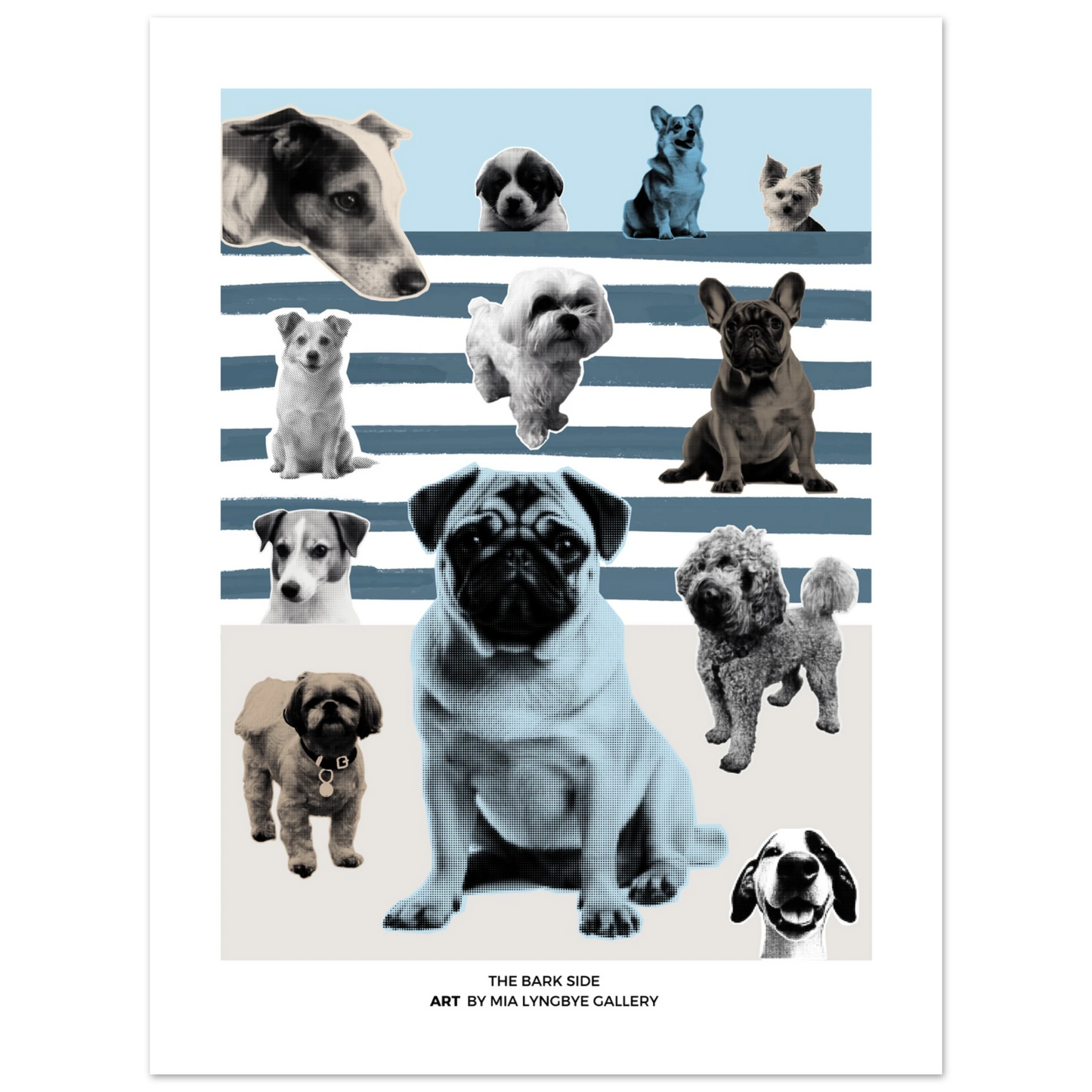 a84a575b-e479-44d3-88e5-650f8a8bf21c