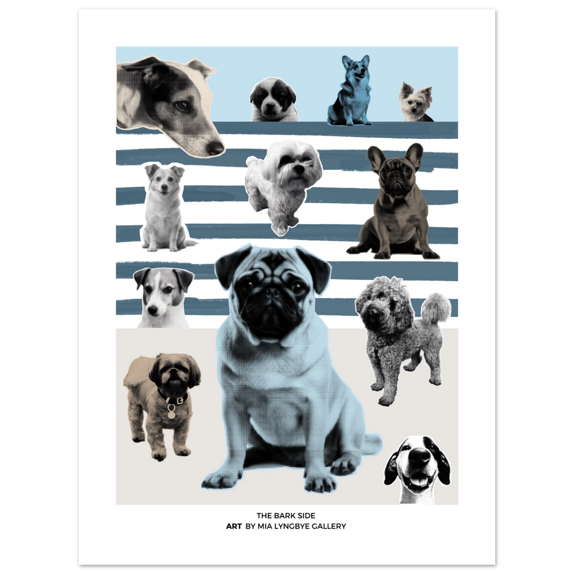 a84a575b-e479-44d3-88e5-650f8a8bf21c