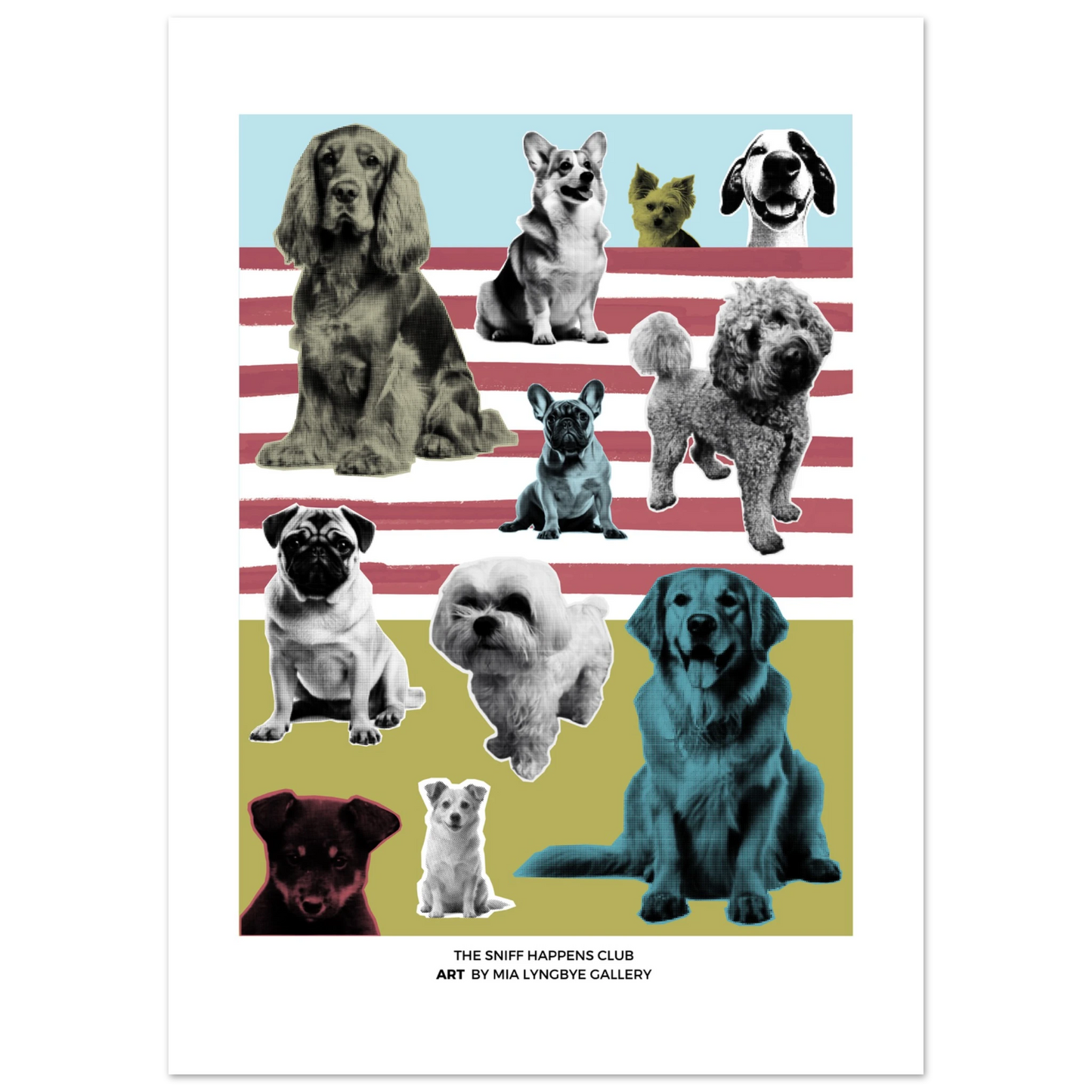 afb50681-556f-422a-8bc3-b028f1a728e5