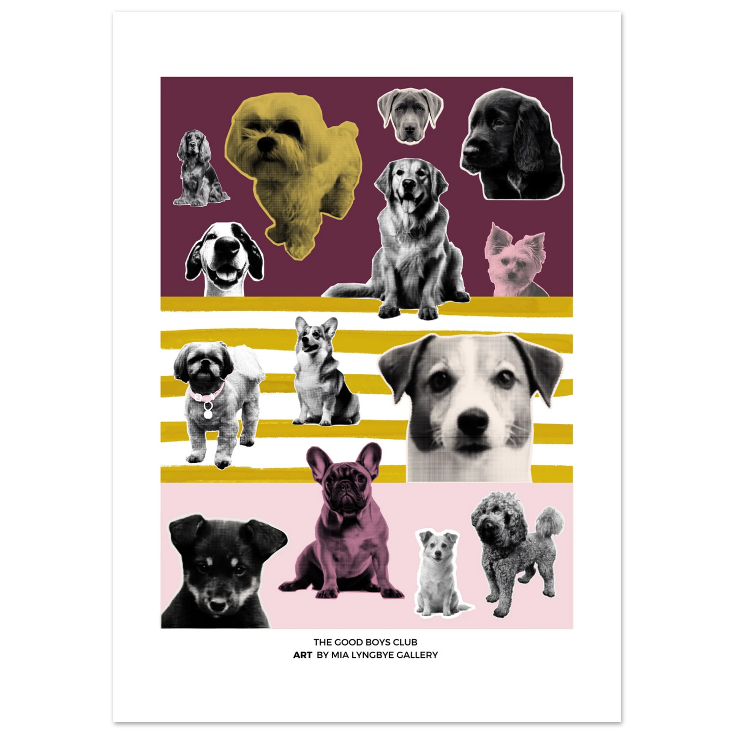 b7ca388c-5aed-4adb-9ae0-6f0748c5f23d