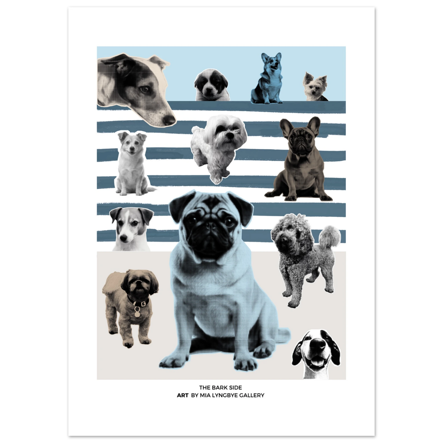 d4798d09-e77e-4b3e-8115-837bc73903de